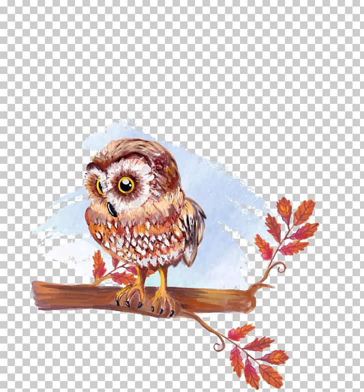 Owl Watercolor Painting Drawing Illustration PNG, Clipart, Animals, Beak, Bird, Bird Of Prey, Branches Free PNG Download