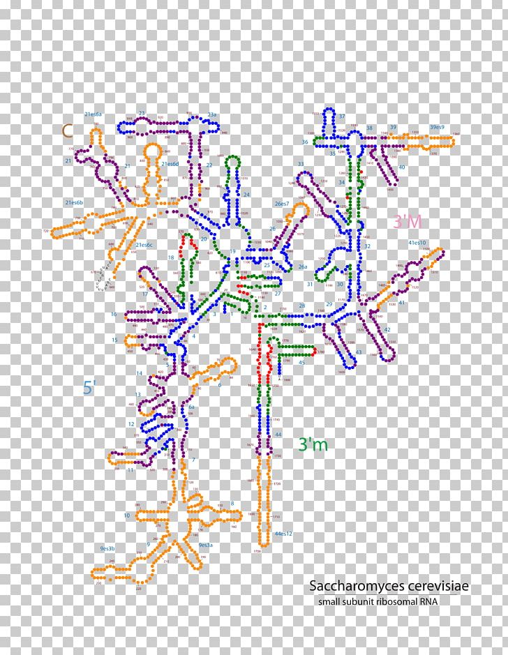 Line Point Tree PNG, Clipart, Angle, Area, Art, Diagram, Drawing Free PNG Download