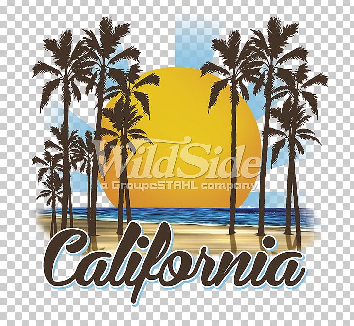 Los Angeles Can Stock Photo PNG, Clipart, Arecales, Brand, California, California Grizzly Bear, Can Stock Photo Free PNG Download