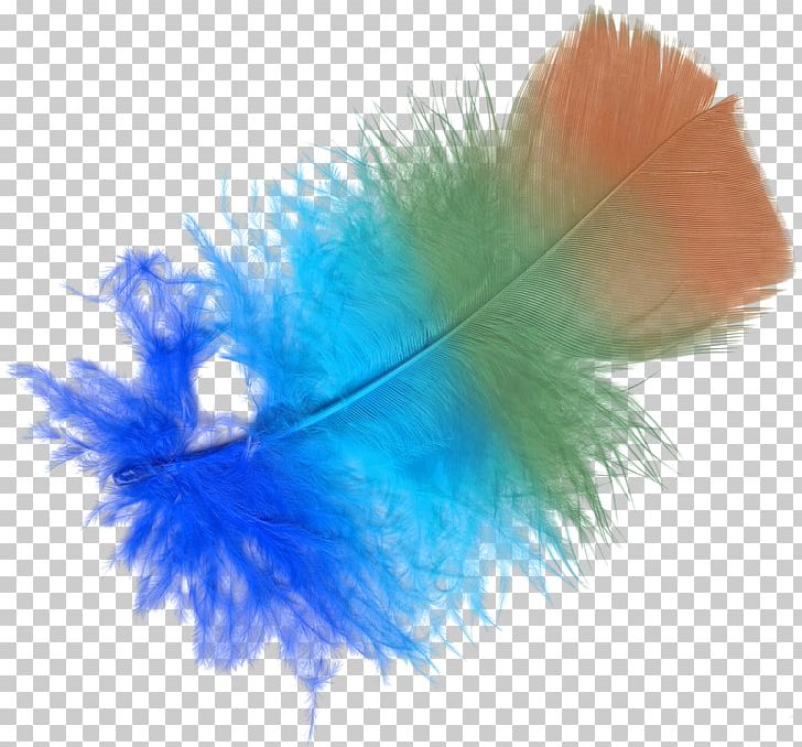Feather Color Lossless Compression PNG, Clipart, Animals, Aqua, Blue, Color, Data Compression Free PNG Download