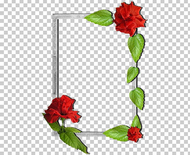 Frames Flower Floral Design PNG, Clipart, Cut Flowers, Desktop Wallpaper, Digital Image, Flori, Flower Free PNG Download