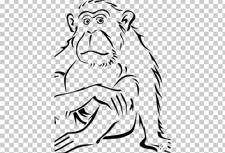 Coloring Book Spider Monkey Gorilla PNG, Clipart, Animal, Animals, Animaux, Art, Artwork Free PNG Download