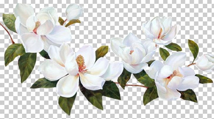 Flower PNG, Clipart, Art, Blossom, Branch, Cut Flowers, Desktop Wallpaper Free PNG Download