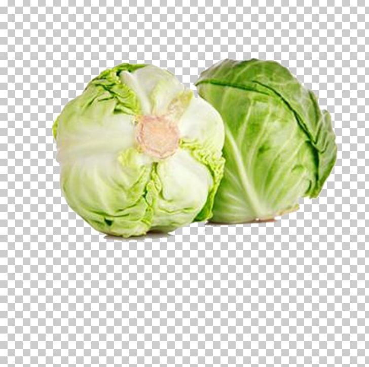 Red Cabbage Cauliflower Kohlrabi Brussels Sprout PNG, Clipart, Brassica Oleracea, Cabbage, Chinese, Chinese Cabbage, Collard Greens Free PNG Download