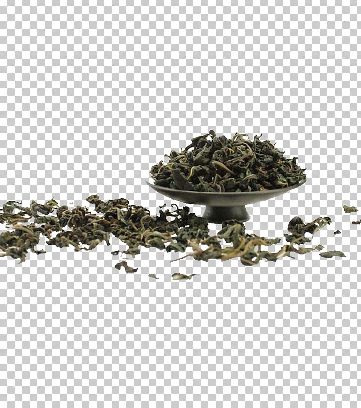 Tea Oolong Food Drying Mulberry PNG, Clipart, Autumn Tree, Barley, Biluochun, Can, Chinese Free PNG Download