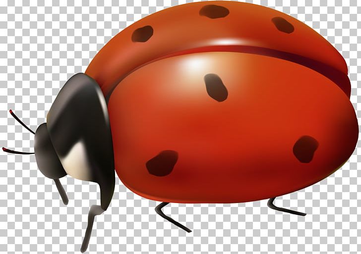 Ladybird Beetle PNG, Clipart, Art, Arthropod, Art Museum, Beetle, Desktop Wallpaper Free PNG Download