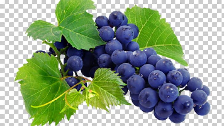 Wine Grape Juice Grapevines Nebbiolo PNG, Clipart, Berry, Bilberry, Blueberry, Food, Food Drinks Free PNG Download