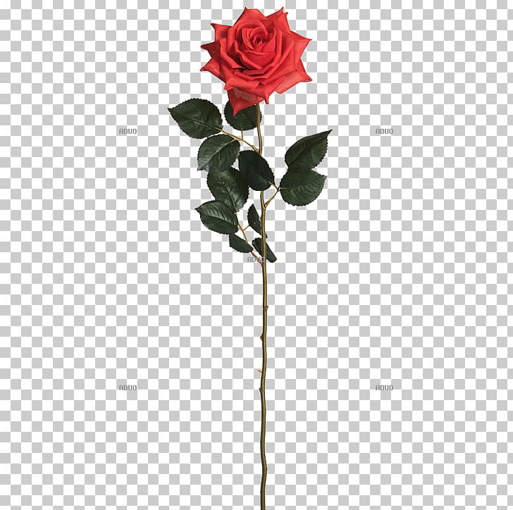 Garden Roses Artificial Flower Red PNG, Clipart,  Free PNG Download