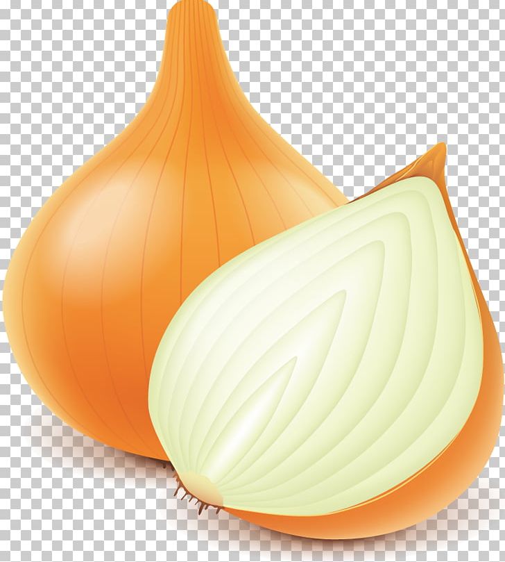 Onion Euclidean PNG, Clipart, Download, Euclidean Vector, Food, Fruit, Garlic Free PNG Download