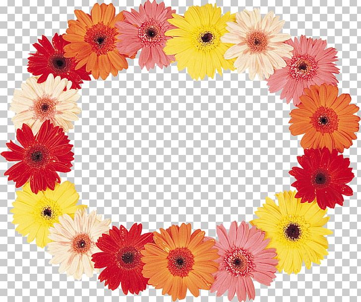 Flower Frames PNG, Clipart, Annual Plant, Border Frames, Chrysanths, Clip Art, Cut Flowers Free PNG Download