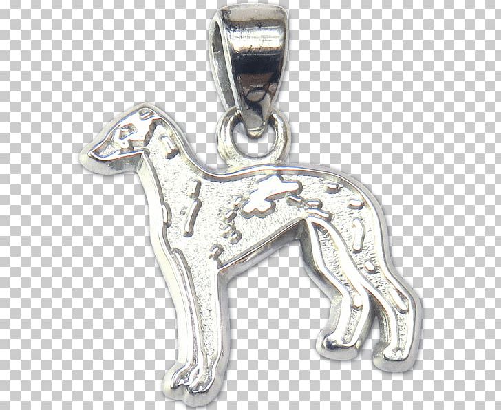 Italian Greyhound Dog Breed American Kennel Club PNG, Clipart, American Kennel Club, Bag, Body Jewelry, Bottle, Breed Free PNG Download