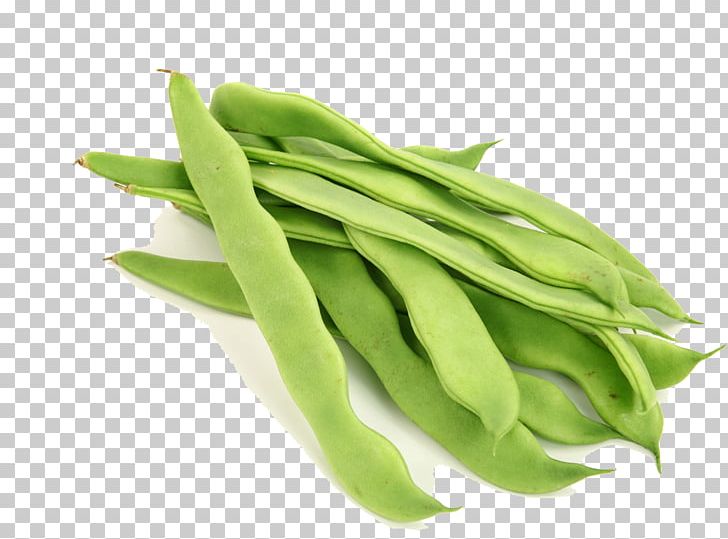 Lablab Broad Bean Common Bean Vegetable PNG, Clipart, Bean, Black Beans, Broad Bean, Commodity, Common Bean Free PNG Download