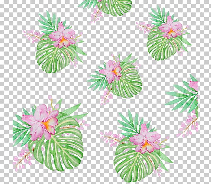 Leaf Psd Portable Network Graphics Graphics PNG, Clipart, Aquarium Decor, Chrysanths, Cut Flowers, Encapsulated Postscript, Floral Design Free PNG Download