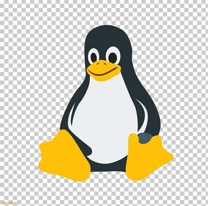 Linux Distribution Computer Icons Operating Systems Ubuntu PNG, Clipart, Beak, Bird, Computer Icons, Computer Software, Ducks Geese And Swans Free PNG Download