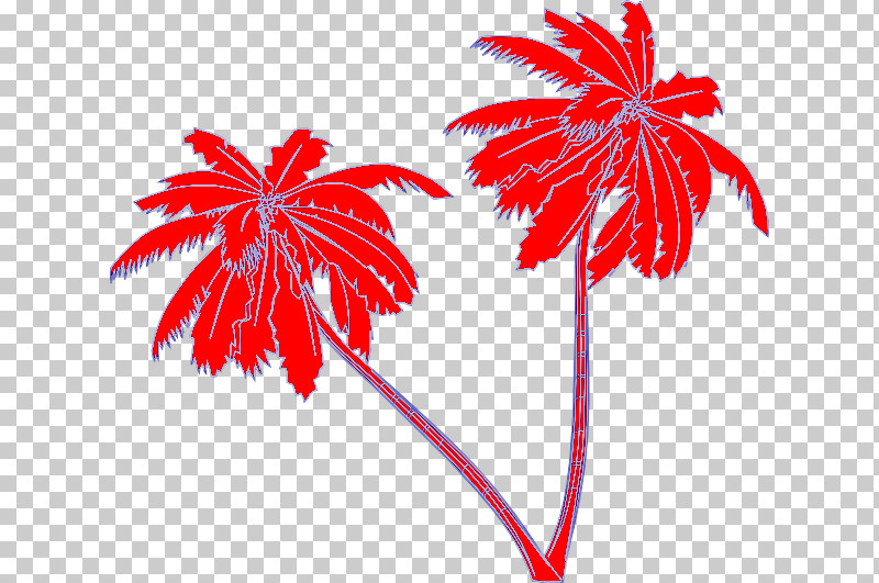 Palm Tree PNG, Clipart, Arecales, Flower, Leaf, Palm Tree, Plant Free PNG Download