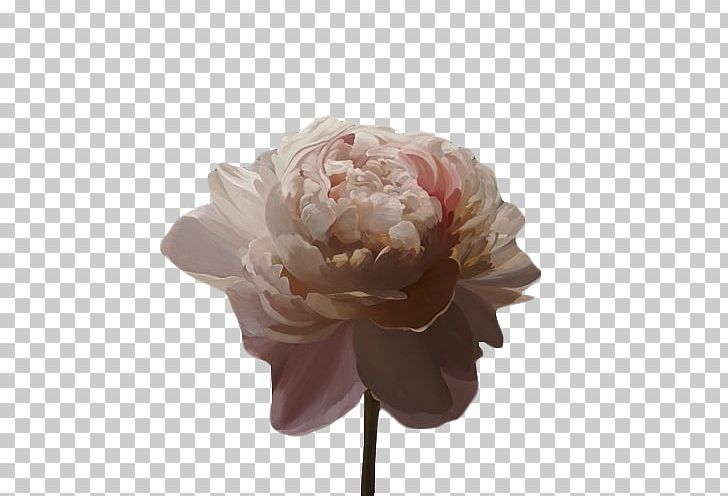 Aesthetics Art Drawing PNG, Clipart, Aesthetic, Aesthetics, Art, Artificial Flower, Copying Free PNG Download