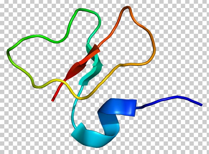 Beta Defensin 1 Beta-defensin 2 Alpha Defensin PNG, Clipart, Alpha, Amino Acid, Antimicrobial Peptides, Area, Beta Free PNG Download