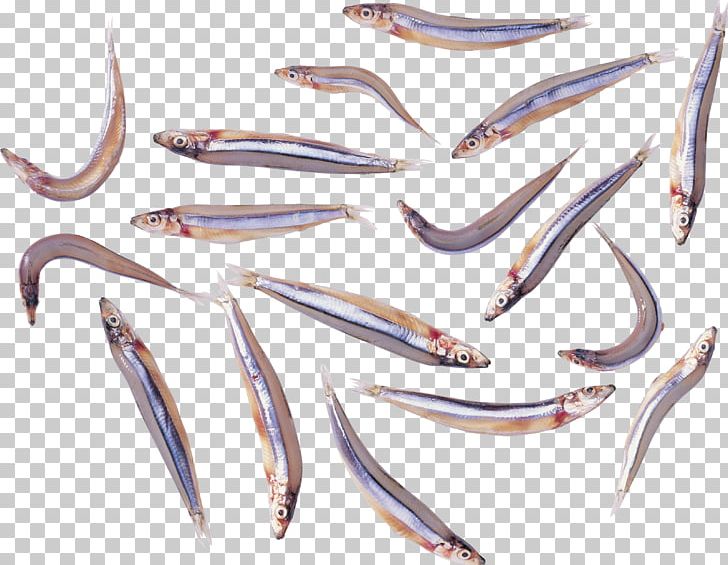 Fish Protein Powder Seafood Sardine PNG, Clipart, Animals, Clupeidae, Clupeiformes, Crab Meat, Fish Free PNG Download
