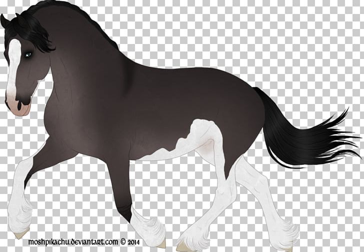 Stallion Foal Mustang Mare Colt PNG, Clipart, Anima, Bridle, Canidae, Character, Colt Free PNG Download