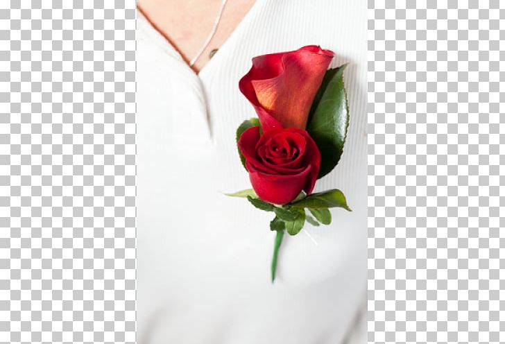 Garden Roses Buttonhole Cut Flowers PNG, Clipart, Artificial Flower, Arumlily, But, Button, Chrysantemum Flower Free PNG Download