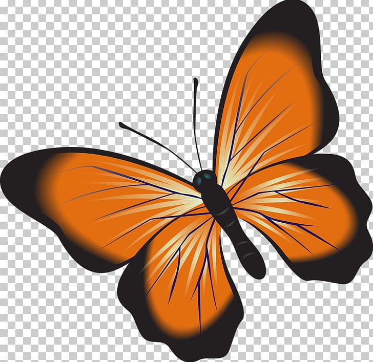 Monarch Butterfly Installation Art PNG, Clipart, Art, Arthropod, Brush Footed Butterfly, Butterflies And Moths, Butterfly Free PNG Download