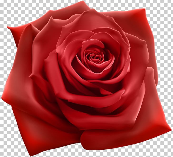 Rose Stock Illustration Stock Photography Illustration PNG, Clipart, Art, Blue Rose, Clipart, Cut Flowers, Encapsulated Postscript Free PNG Download