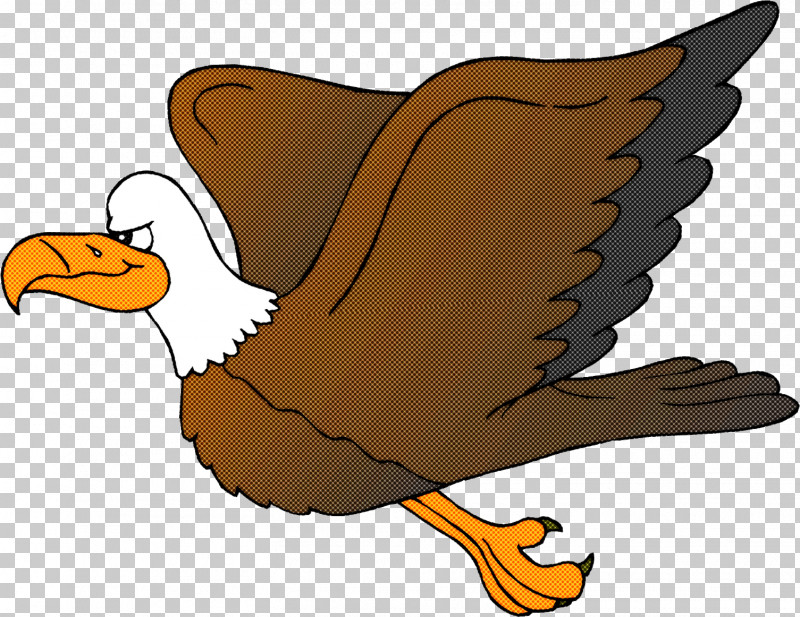 Bird Cartoon Eagle Beak Golden Eagle PNG, Clipart, Beak, Bird, Bird Of Prey, Cartoon, Eagle Free PNG Download
