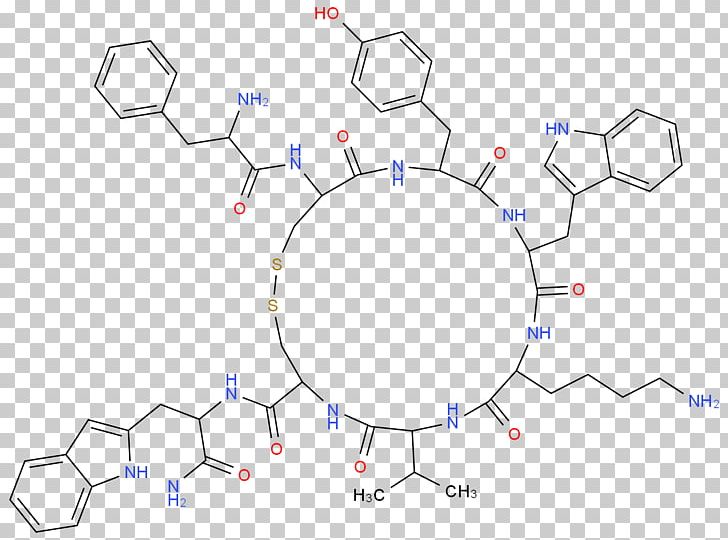 Angle Point Circle Product Diagram PNG, Clipart, Angle, Area, Circle, Diagram, Line Free PNG Download