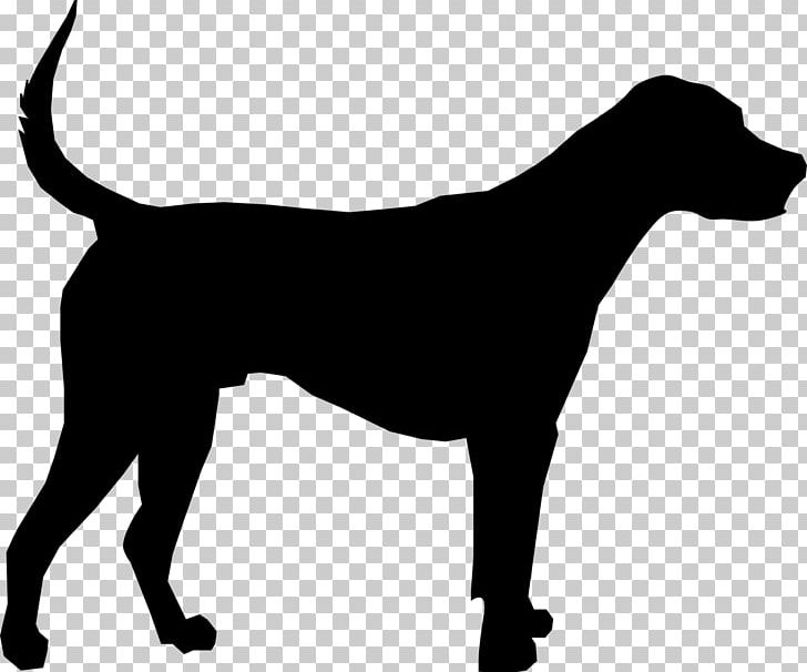 Great Dane Puppy Dog Breed PNG, Clipart, Animals, Black, Black And ...