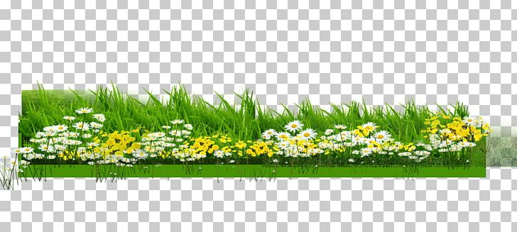 Meadow Green Lawn Computer File PNG, Clipart, Background Green, City, City Silhouette, Designer, Download Free PNG Download