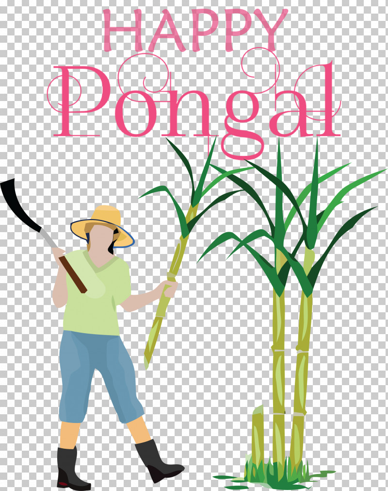 Pongal Happy Pongal PNG, Clipart, Happy Pongal, Pongal, Royaltyfree, Silhouette, Sugar Free PNG Download