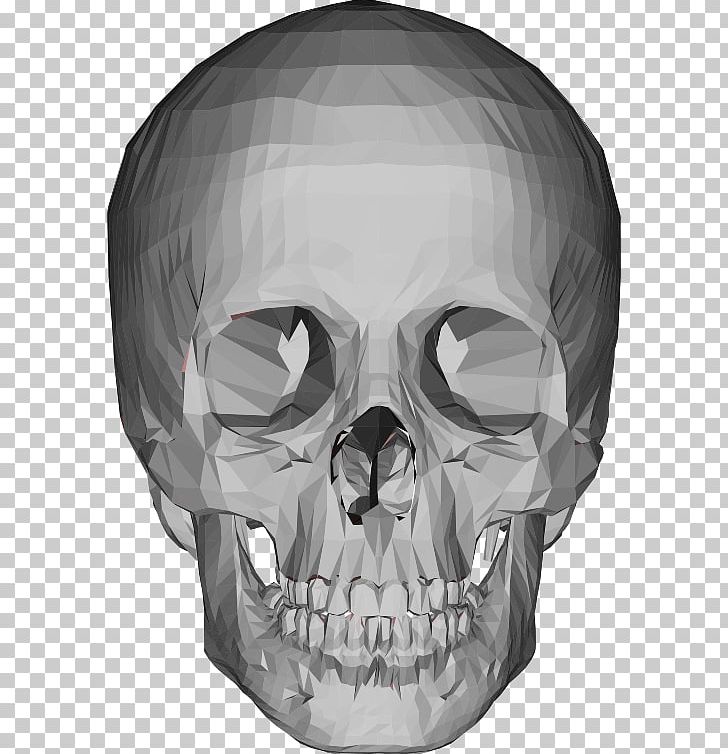 Skull Head Bone PNG, Clipart, 3d Computer Graphics, Black And White, Bone, Drawing, Face Free PNG Download