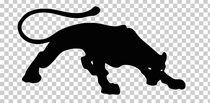 Stock Photography Cougar Puma PNG, Clipart, Adidas, Big Cats, Black, Carnivoran Free PNG