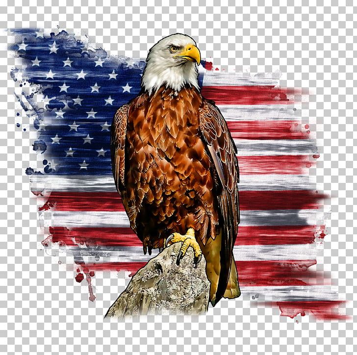 Bald Eagle Liberty Bell Flag Of The United States T-shirt PNG, Clipart, Accipitriformes, American, American Eagle Outfitters, Bald, Bald Eagle Free PNG Download