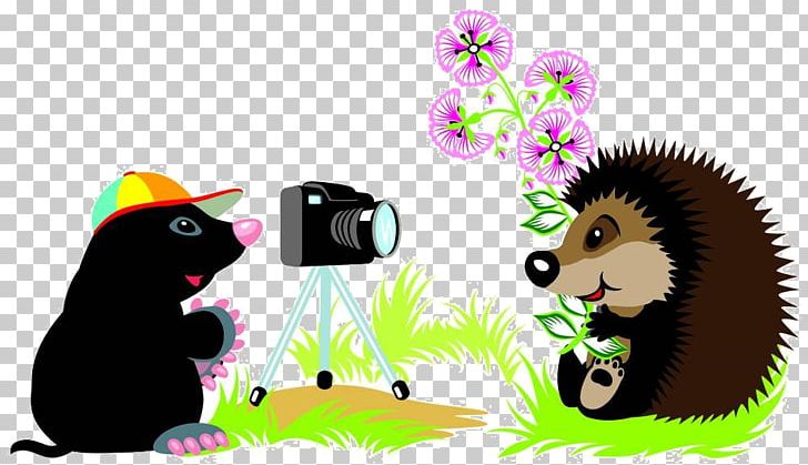 Hedgehog European Mole PNG, Clipart, Animals, Balloon Cartoon, Bear, Camera, Camera Icon Free PNG Download