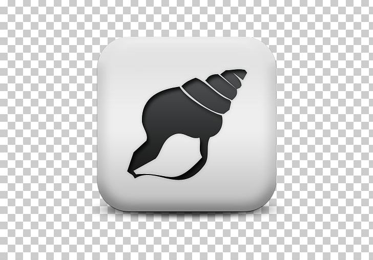 Seashell Oyster Computer Icons Mollusc Shell PNG, Clipart, Animals, Black And White, Computer Icons, Conch, Cowry Free PNG Download