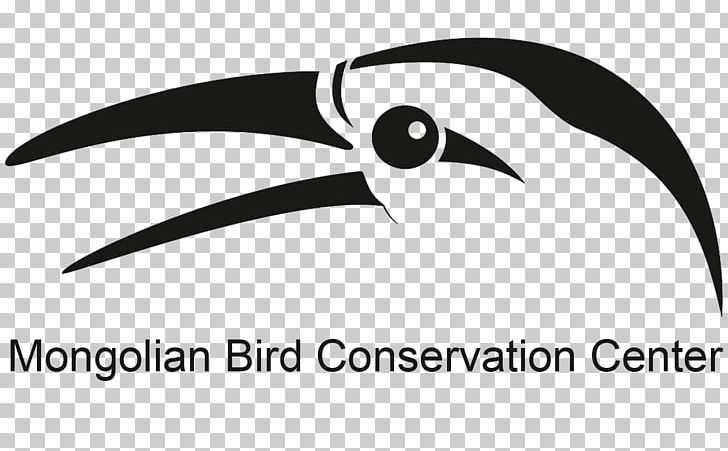 Bird Conservation Beak Relict Gull PNG, Clipart, Angle, Beak, Bird, Bird Conservation, Bird Migration Free PNG Download