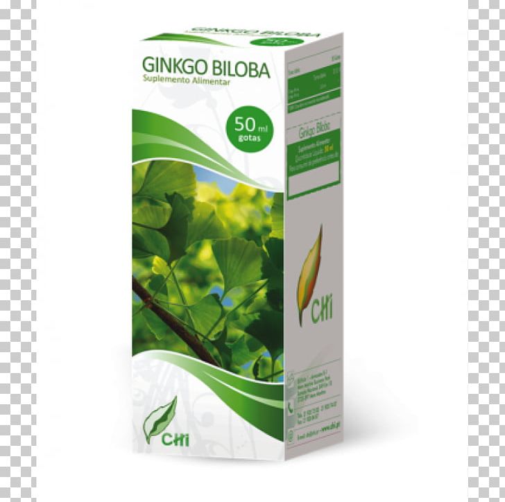 Herbalism Leaf Ginkgo Biloba Tree PNG, Clipart, Ginkgo Biloba, Herb, Herbal, Herbalism, Leaf Free PNG Download