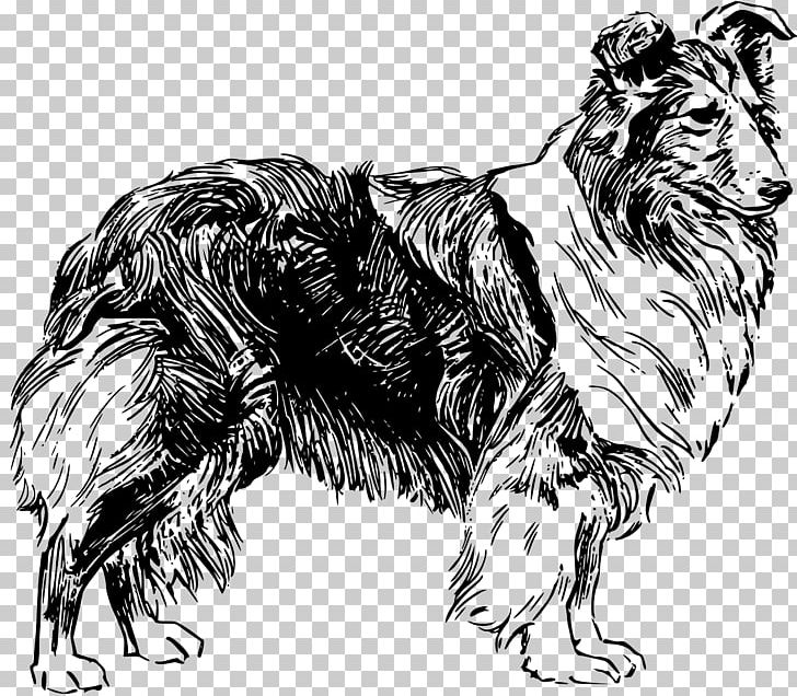 Old English Sheepdog Shetland Sheepdog PNG, Clipart, Big Cats, Carnivoran, Dog Breed, Dog Breed Group, Dog Like Mammal Free PNG Download