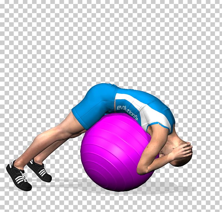 Exercise Balls Pilates Hyperextension Crunch PNG, Clipart, Abdomen, Arm, Bench, Bosu, Crunch Free PNG Download