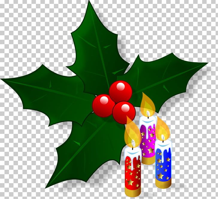 Common Holly Christmas Ornament Aquifoliales PNG, Clipart,  Free PNG Download
