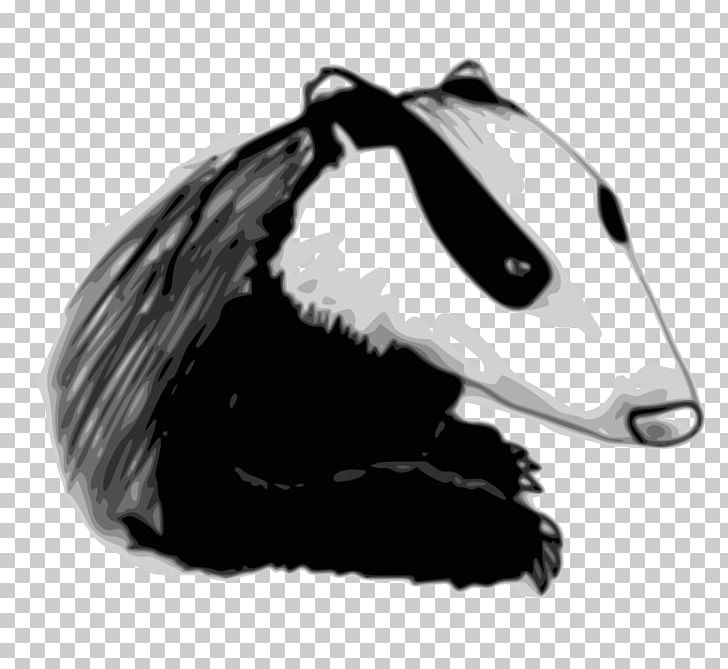 European Badger Honey Badger Drawing PNG, Clipart, Badger, Badger Badger Badger, Black And White, Bucky Badger, Carnivoran Free PNG Download