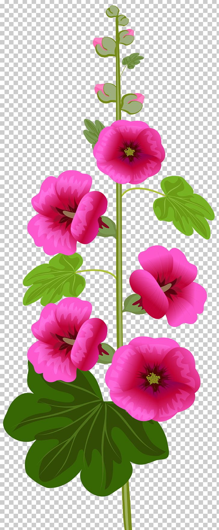 Flower Drawing PNG, Clipart, Annual Plant, Blessing, Clipart, Day, Drawing Free PNG Download