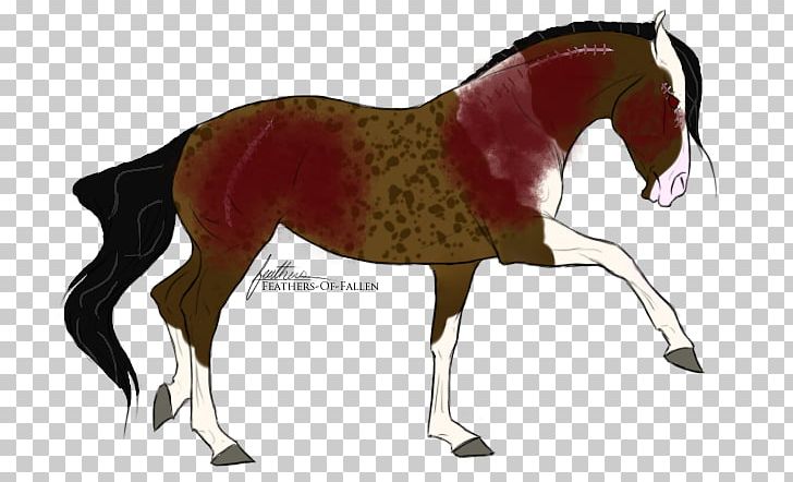 Mustang Foal Stallion Colt Mare PNG, Clipart, Bridle, Colt, Foal, Halter, Horse Free PNG Download