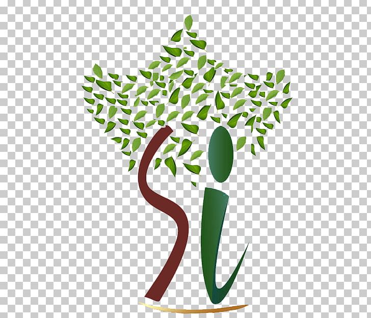 Comb Neem Tree Hair Scalp PNG, Clipart, Comb, Delhi, Double Storey, Email, Flora Free PNG Download