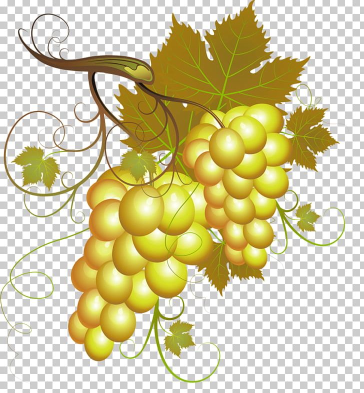 Grape PNG, Clipart, Barrel, Bumper, Bunch, Bunches, Download Free PNG Download