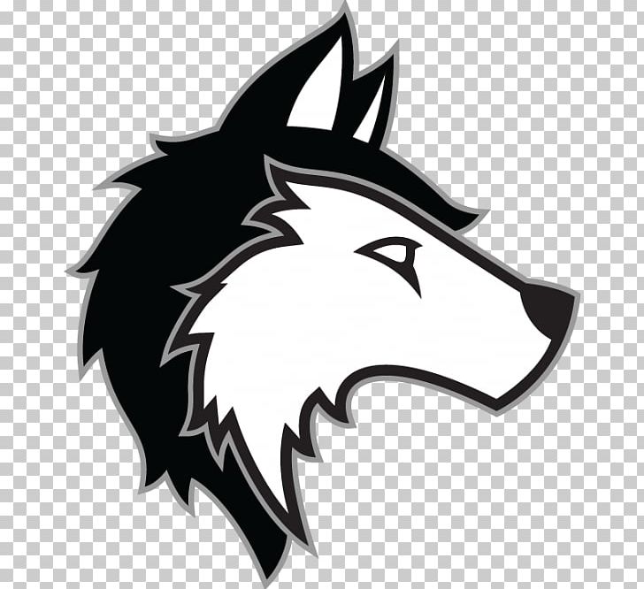 Gray Wolf Siberian Husky PNG, Clipart, Animals, Black, Black And White, Carnivoran, Computer Icons Free PNG Download