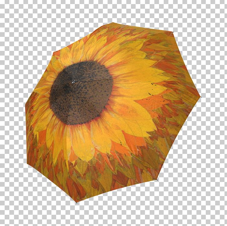 Sunflower M Umbrella PNG, Clipart, Flower, Flowering Plant, Objects, Orange, Petal Free PNG Download