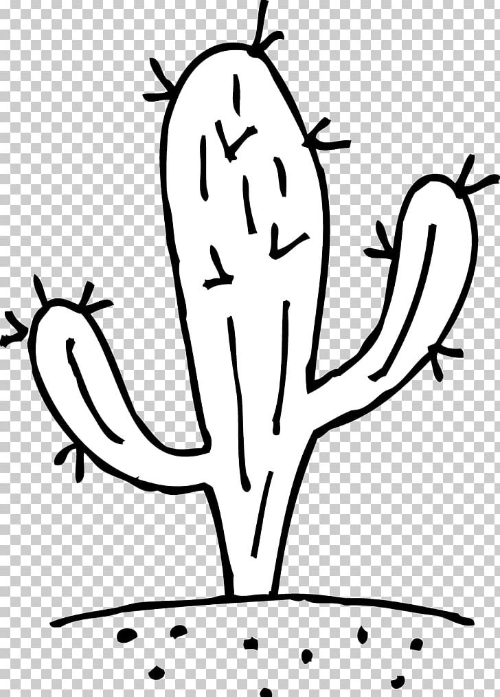 Cactaceae Black And White Saguaro PNG, Clipart, Artwork, Black, Branch, Cactaceae, Cactus Pictures For Kids Free PNG Download