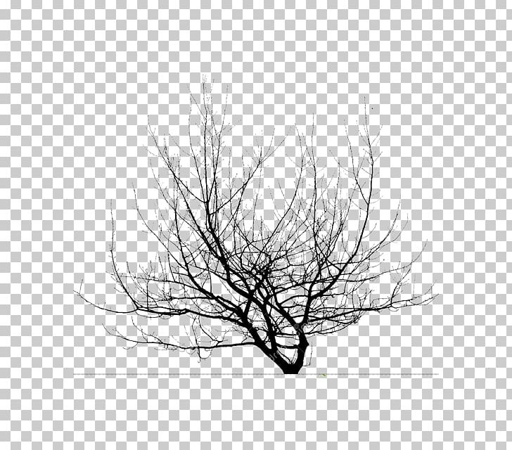 Portable Network Graphics Twig Desktop Branch PNG, Clipart, 2016, Black And White, Branch, Desktop Wallpaper, Display Resolution Free PNG Download